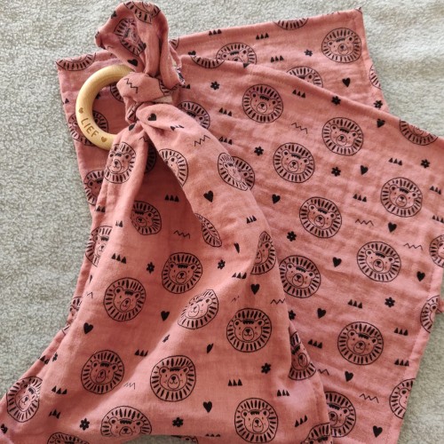 Cadeausetje Leeuwtjes