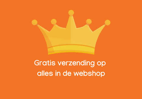 actie koningsdag